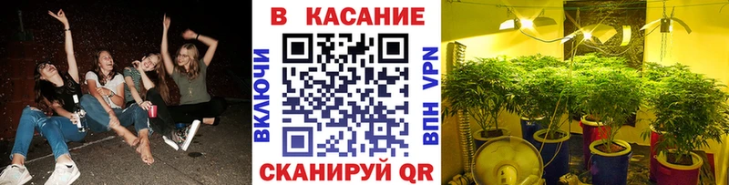 Как найти наркотики Касимов АМФ  МЕФ  мега ТОР  Бошки Шишки 