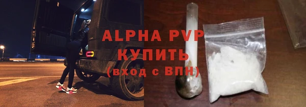 молекула духа Арсеньев