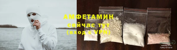 молекула духа Арсеньев
