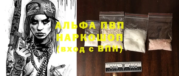 молекула духа Арсеньев