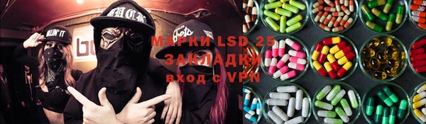 молекула духа Арсеньев