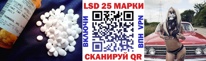 ЛСД экстази ecstasy купить Касимов
