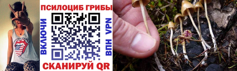 Галлюциногенные грибы GOLDEN TEACHER  закладки  Касимов 
